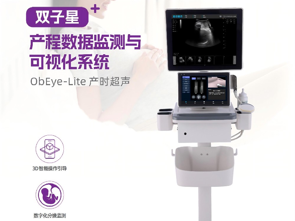 【双子星】产程数据监测与可视化系统