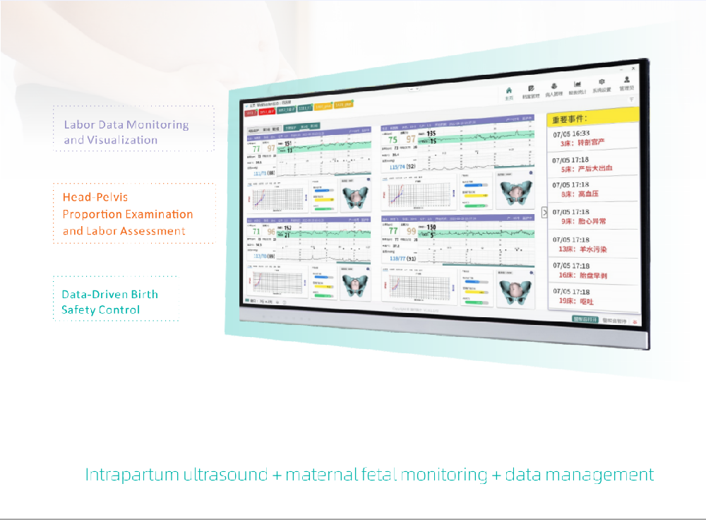 【LotusIris】Labor Monitoring and Data Management System
