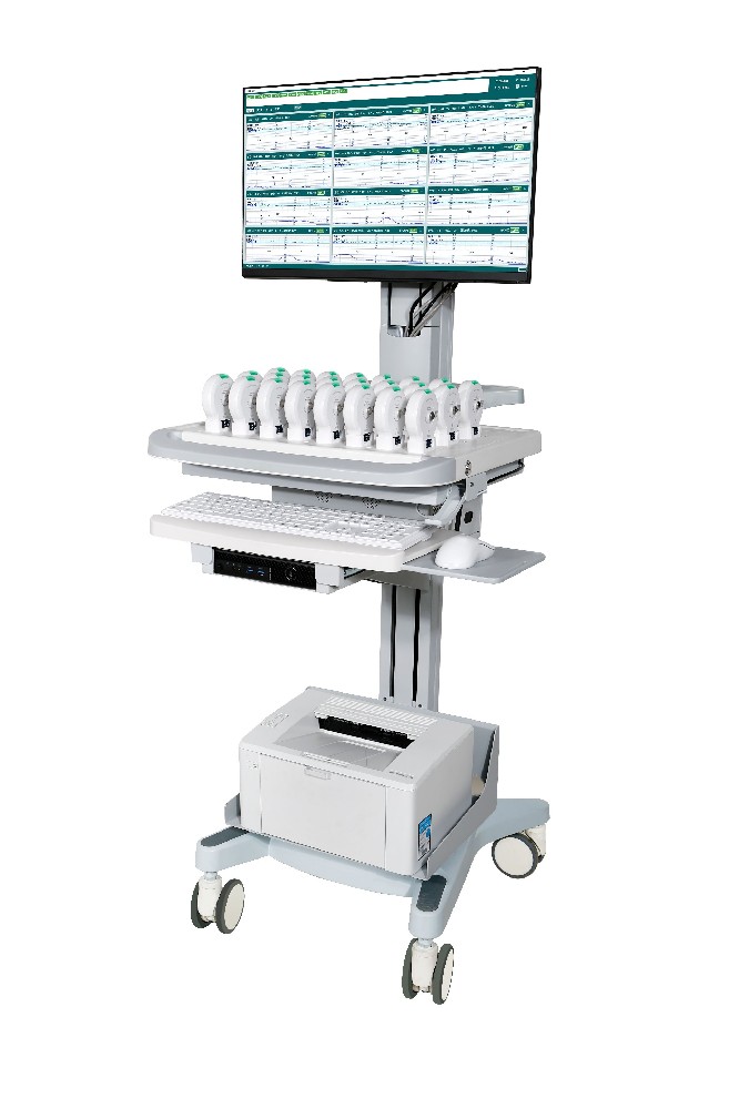 【Lotus plumule】Smart Fetal Monitoring System